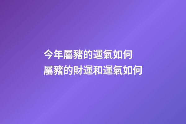 今年屬豬的運氣如何 屬豬的財運和運氣如何-第1張-觀點-玄機派